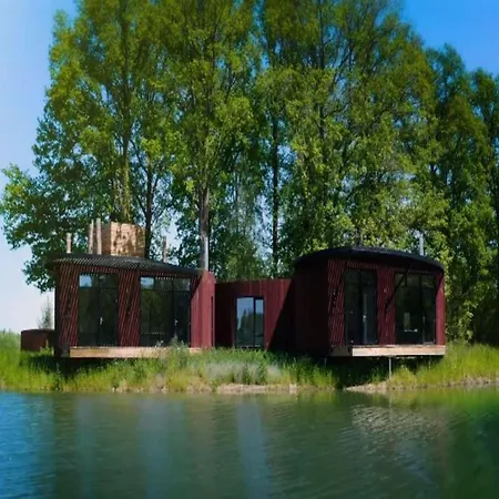 Modern Forest-edge *